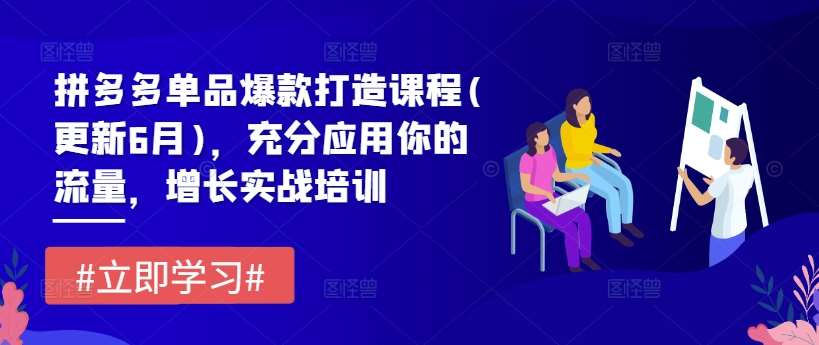 拼多多单品爆款打造课程(更新6月)，充分应用你的流量，增长实战培训-时光论坛