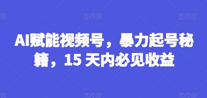 AI赋能视频号，暴力起号秘籍，15 天内必见收益【揭秘】-时光论坛