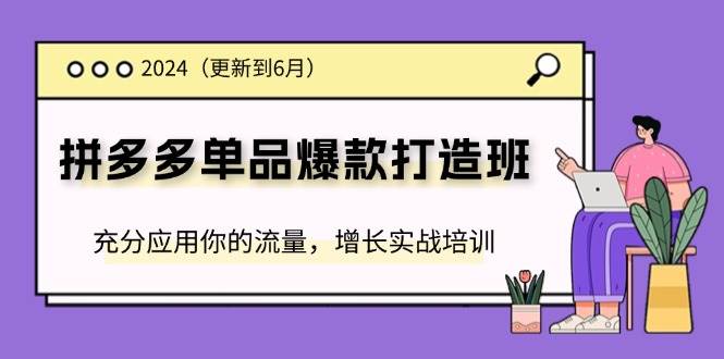 （11556期）2024拼多多-单品爆款打造班(更新6月)，充分应用你的流量，增长实战培训-时光论坛