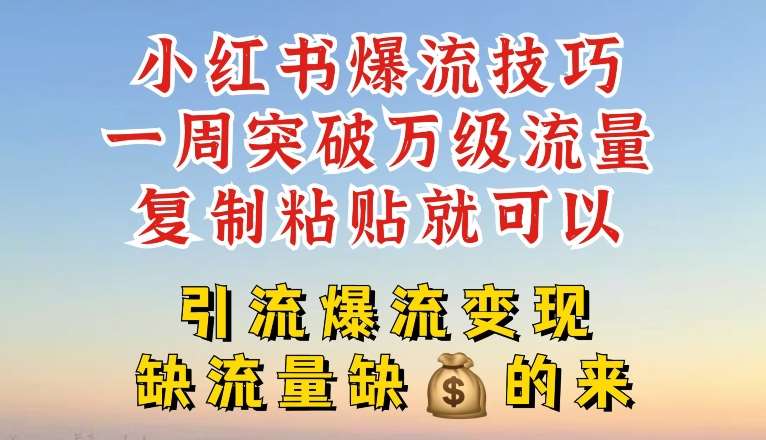 小红书爆流技巧，一周突破万级流量，复制粘贴就可以，引流爆流变现【揭秘】-时光论坛