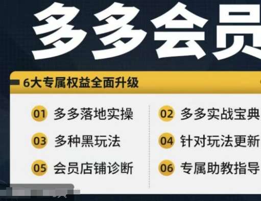 拼多多会员，拼多多实战宝典+实战落地实操，从新手到高阶内容全面覆盖-时光论坛