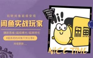 从0到1系统玩转闲鱼变现,教你核心选品思维,提升产品曝光及转化率-时光论坛