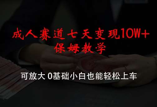 成人赛道七天变现10W+保姆教学，可放大，0基础小白也能轻松上车【揭秘】-时光论坛