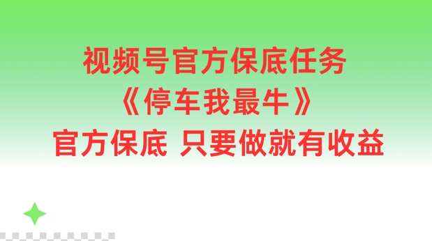 视频号官方保底任务，停车我最牛，官方保底只要做就有收益【揭秘】-时光论坛