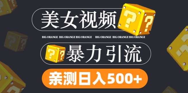 搬运tk美女视频全网分发，日引s粉300+，轻松变现，不限流量不封号【揭秘】-时光论坛