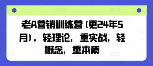 老A营销训练营(更24年7月),轻理论,重实战,轻概念,重本质-时光论坛