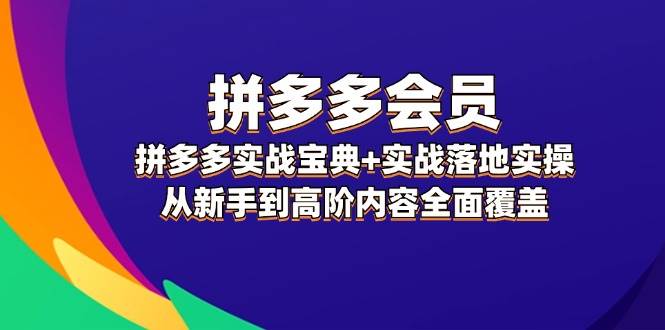 （12056期）拼多多 会员，拼多多实战宝典+实战落地实操，从新手到高阶内容全面覆盖-时光论坛