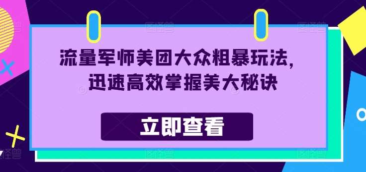 流量军师美团大众粗暴玩法，迅速高效掌握美大秘诀-时光论坛