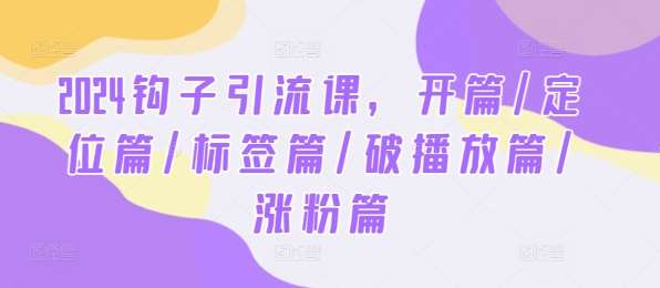 2024钩子引流课，开篇/定位篇/标签篇/破播放篇/涨粉篇-时光论坛