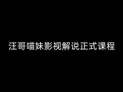 汪哥影视解说正式课程：剪映/PR教学/视解说剪辑5大黄金法则/全流程剪辑7把利器等等-时光论坛