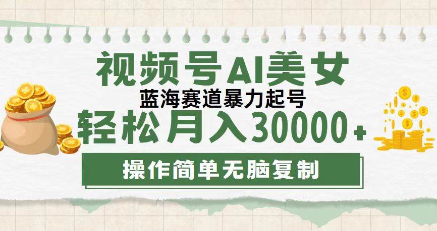 （12087期）视频号AI美女跳舞，轻松月入30000+，蓝海赛道，流量池巨大，起号猛，无…-时光论坛