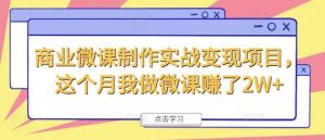 商业微课制作实战变现项目，这个月我做微课赚了2W+-时光论坛