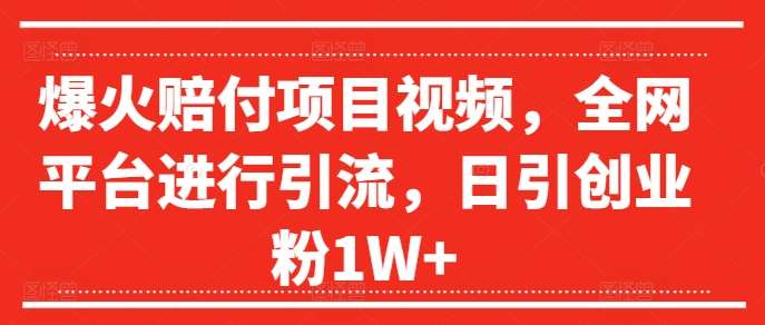 爆火赔付项目视频，全网平台进行引流，日引创业粉1W+【揭秘】-时光论坛