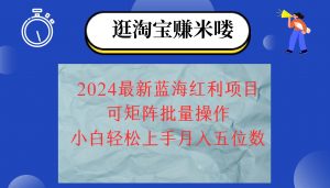 (12033期)2024淘宝蓝海红利项目,无脑搬运操作简单,小白轻松月入五位数,可矩阵...-时光论坛