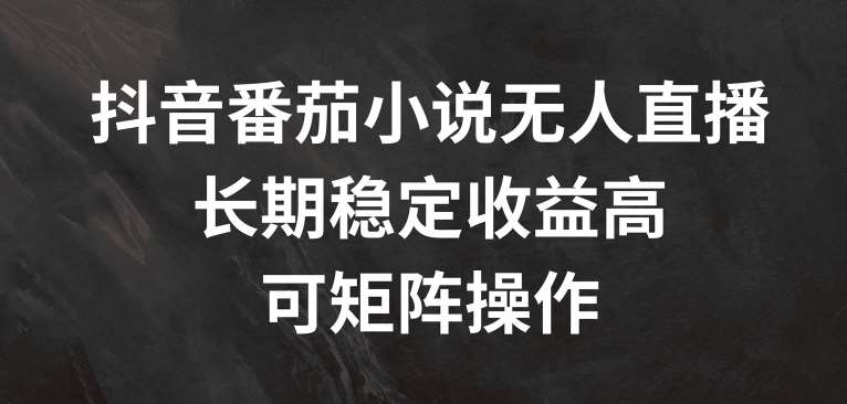 抖音番茄小说无人直播，长期稳定收益高，可矩阵操作【揭秘】-时光论坛