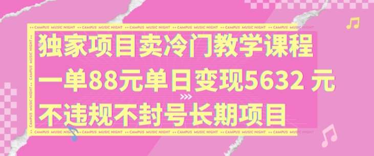 独家项目卖冷门教学课程一单88元单日变现5632元违规不封号长期项目【揭秘】-时光论坛