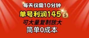 （12027期）每天仅需10分钟，单号利润145 可复制放大 简单0成本-时光论坛