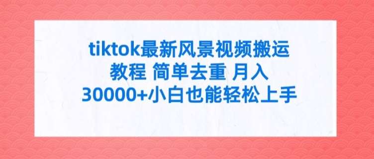 tiktok最新风景视频搬运教程 简单去重 月入3W+小白也能轻松上手【揭秘】-时光论坛