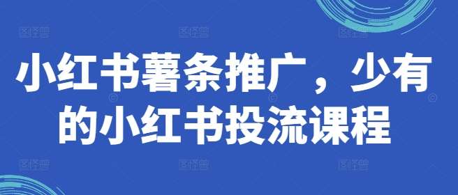 小红书薯条推广，少有的小红书投流课程-时光论坛
