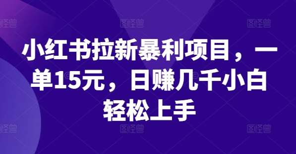 小红书拉新暴利项目，一单15元，日赚几千小白轻松上手【揭秘】-时光论坛