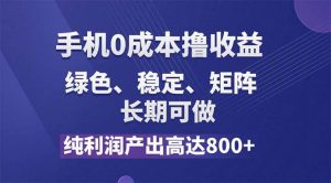 （11976期）纯利润高达800+，手机0成本撸羊毛，项目纯绿色，可稳定长期操作！-时光论坛