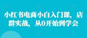 小红书电商小白入门课,店群实战,从0开始到学会-时光论坛