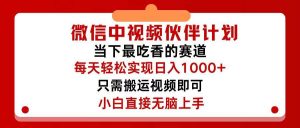 (12017期)微信中视频伙伴计划,仅靠搬运就能轻松实现日入500+,关键操作还简单,...-时光论坛