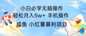 全网首发2024最暴利手机操作项目，简单无脑操作，每单利润最少500+-时光论坛