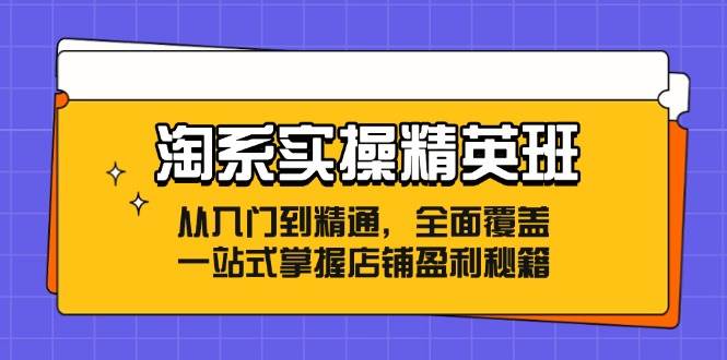 （12276期）淘系实操精英班：从入门到精通，全面覆盖，一站式掌握店铺盈利秘籍-时光论坛