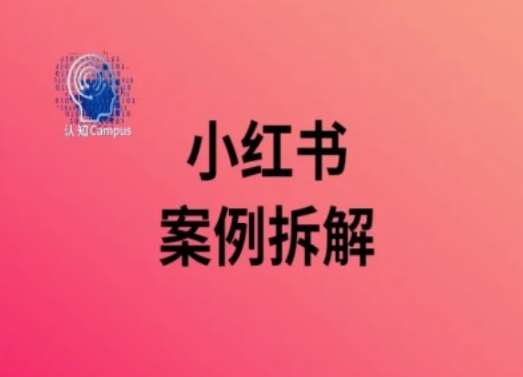小红书案例拆解，深度解读小红书40万粉-时光论坛