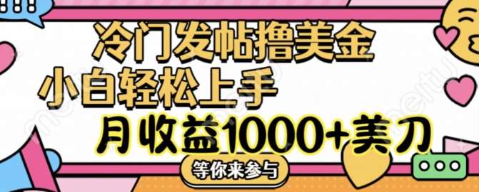 冷门发帖撸美金项目，月收益1000+美金，简单无脑，干就完了【揭秘】-时光论坛