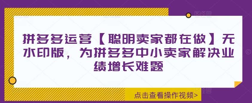 拼多多运营【聪明卖家都在做】无水印版，为拼多多中小卖家解决业绩增长难题-时光论坛