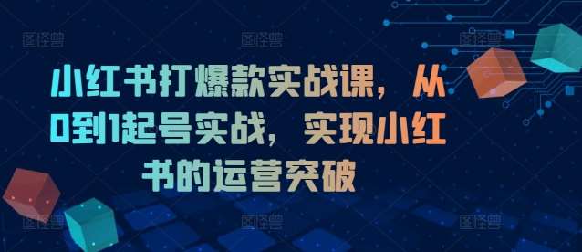 小红书打爆款实战课，从0到1起号实战，实现小红书的运营突破-时光论坛