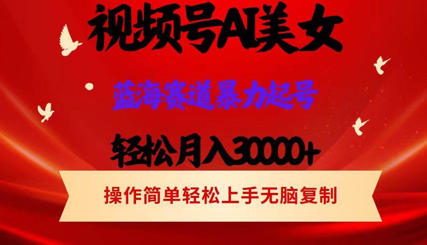 （12178期）视频号AI美女跳舞，轻松月入30000+，蓝海赛道，流量池巨大，起号猛，当…-时光论坛