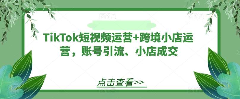 TikTok短视频运营+跨境小店运营，账号引流、小店成交-时光论坛