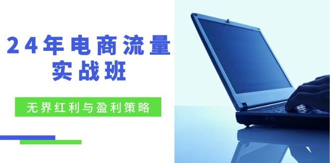 （12168期）24年电商流量实战班：无界 红利与盈利策略，终极提升/关键词优化/精准…-时光论坛