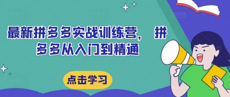 最新拼多多实战训练营， 拼多多从入门到精通-时光论坛