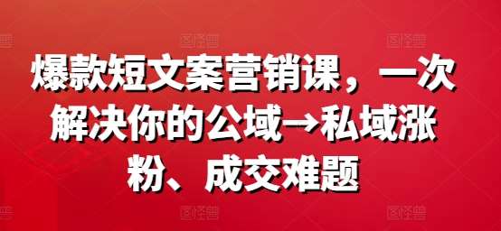 爆款短文案营销课，一次解决你的公域→私域涨粉、成交难题-时光论坛