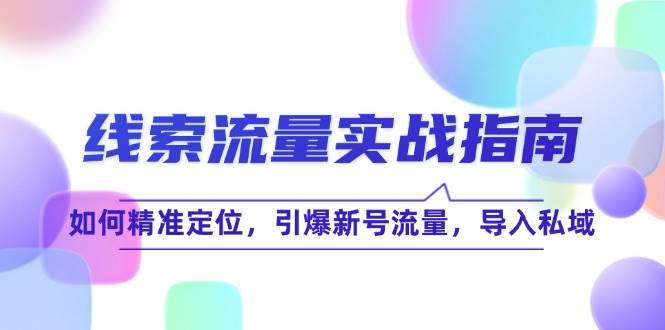 （12382期）线 索 流 量-实战指南：如何精准定位，引爆新号流量，导入私域-时光论坛