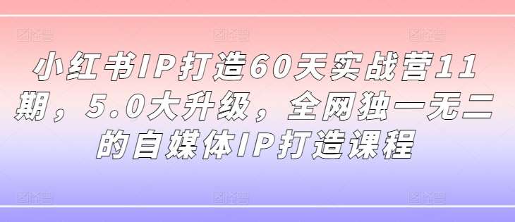 小红书IP打造60天实战营11期，5.0大升级，全网独一无二的自媒体IP打造课程-时光论坛