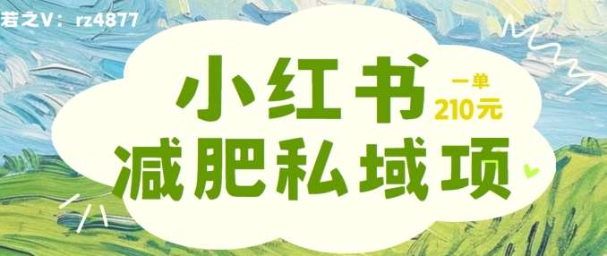 小红书减肥粉，私域变现项目，一单就达210元，小白也能轻松上手【揭秘】-时光论坛