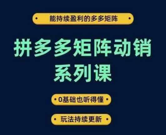 拼多多矩阵动销系列课，能持续盈利的多多矩阵，0基础也听得懂，玩法持续更新-时光论坛