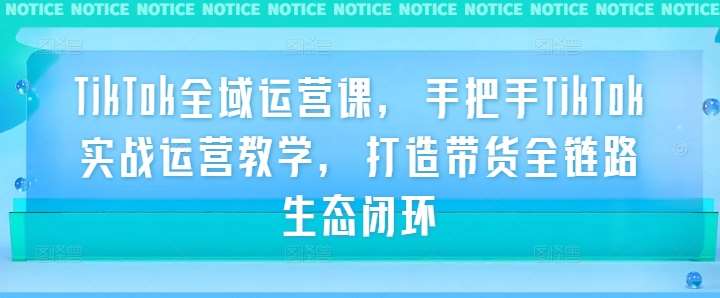 TikTok全域运营课，手把手TikTok实战运营教学，打造带货全链路生态闭环-时光论坛
