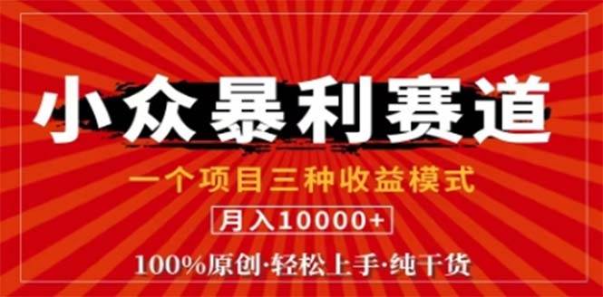 （12756期）视频号最新爆火赛道，三种可收益模式，0粉新号条条原创条条热门 日入1000+-时光论坛