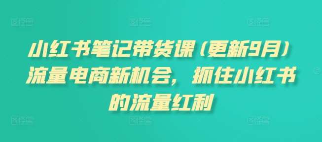 小红书笔记带货课(更新9月)流量电商新机会，抓住小红书的流量红利-时光论坛