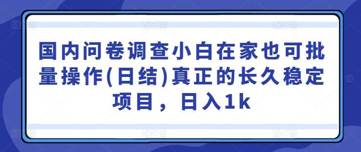 国内问卷调查小白在家也可批量操作(日结)真正的长久稳定项目，日入1k【揭秘】-时光论坛