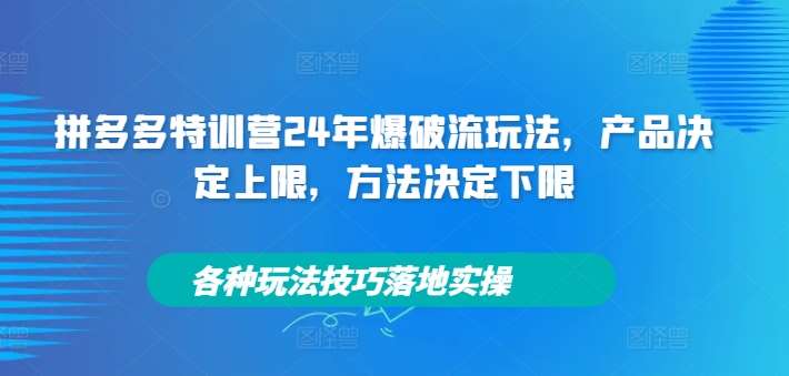 拼多多特训营24年爆破流玩法，产品决定上限，方法决定下限，各种玩法技巧落地实操-时光论坛