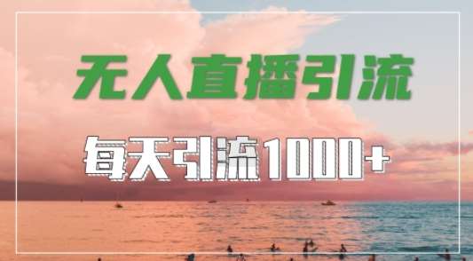 抖音快手视频号全平台通用，无人直播引流法，超暴力引流1000+高质量精准创业粉【揭秘】-时光论坛