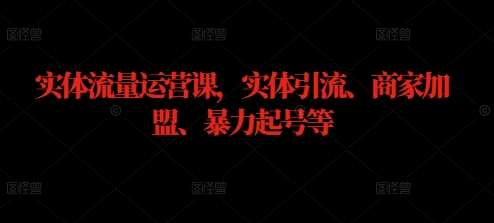 实体流量运营课，实体引流、商家加盟、暴力起号等-时光论坛