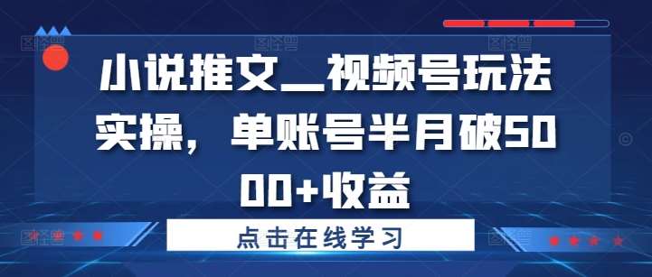 小说推文—视频号玩法实操，单账号半月破5000+收益-时光论坛